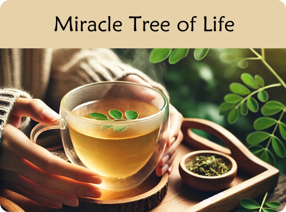 Hands holding a cup of moringa tea; opens to article on Miracle Tree of Life.