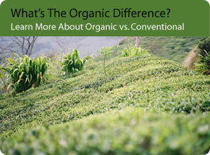 Tea fields; opens to article comparing organic vs. conventional tea.