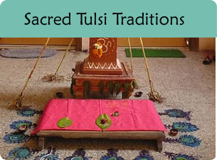 Altar with a pink cloth; opens to article on sacred tulsi traditions.