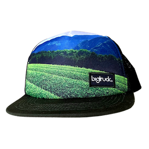 Davidson's X bigtruck Hats