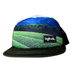 Davidson's X bigtruck Hats